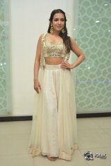 Catherine Tresa At Goutham Nanda Movie Success Meet